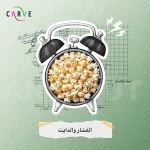 CARVE nutrition social media, Egypt diet clinic marketing, transformation content
