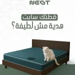 Cozy Nest home lifestyle social media, Egypt e-commerce content, product lifestyle photography