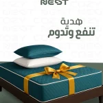 Cozy Nest home lifestyle social media, Egypt e-commerce content, product lifestyle photography