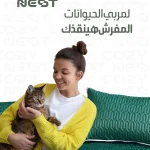 Cozy Nest home lifestyle social media, Egypt e-commerce content, product lifestyle photography