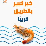 Dr Shrimp KSA social media, seafood restaurant content, food photography Saudi